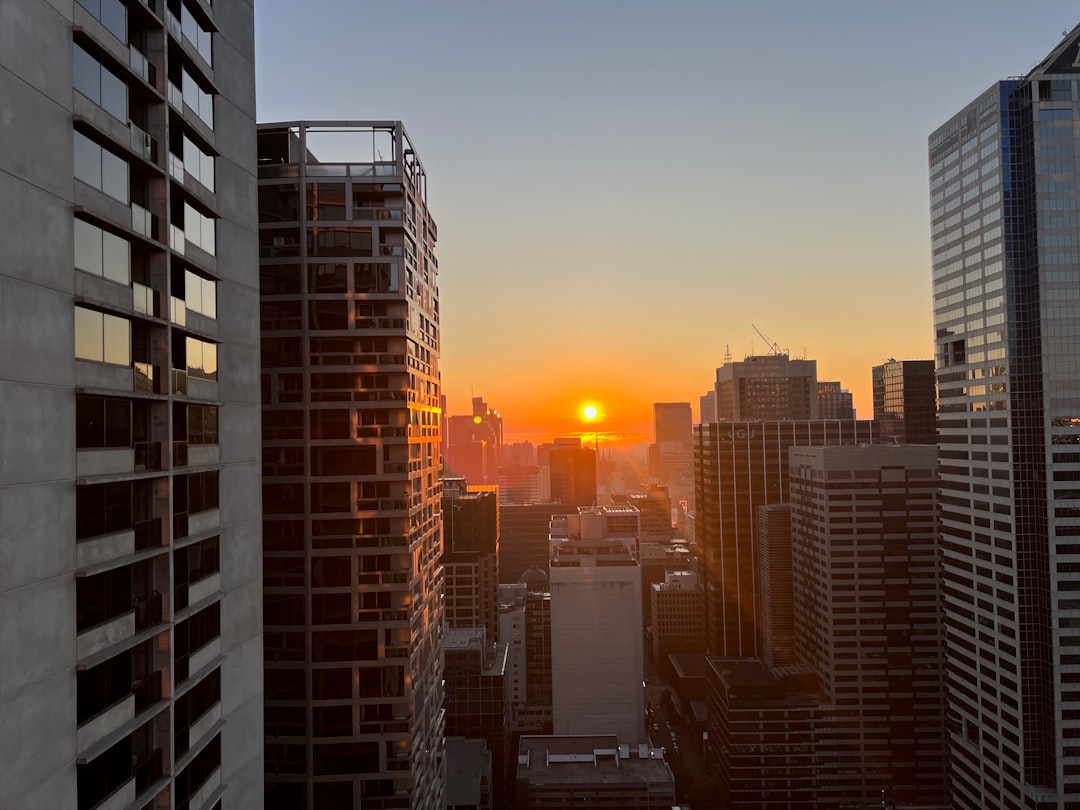 The Importance of SEO in the CBD Industry: Attracting Customers and Establishing Brand Presence - Blog Image