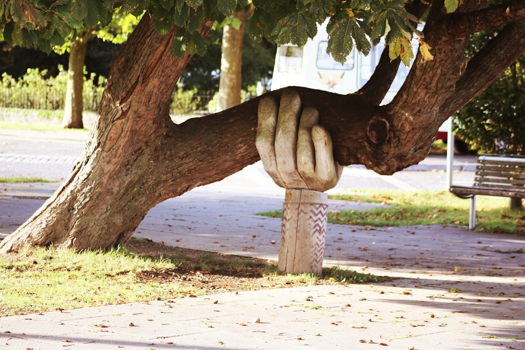 The Role of SEO in Political Campaigns: Reaching Voters and Building Support - Blog Image