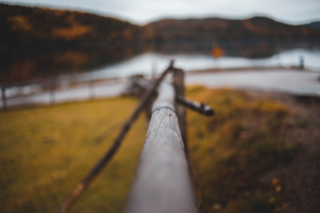 Turning Blog Posts into Pipelines: Content That Drives Conversions, Not Just Traffic - Eikeland SEO