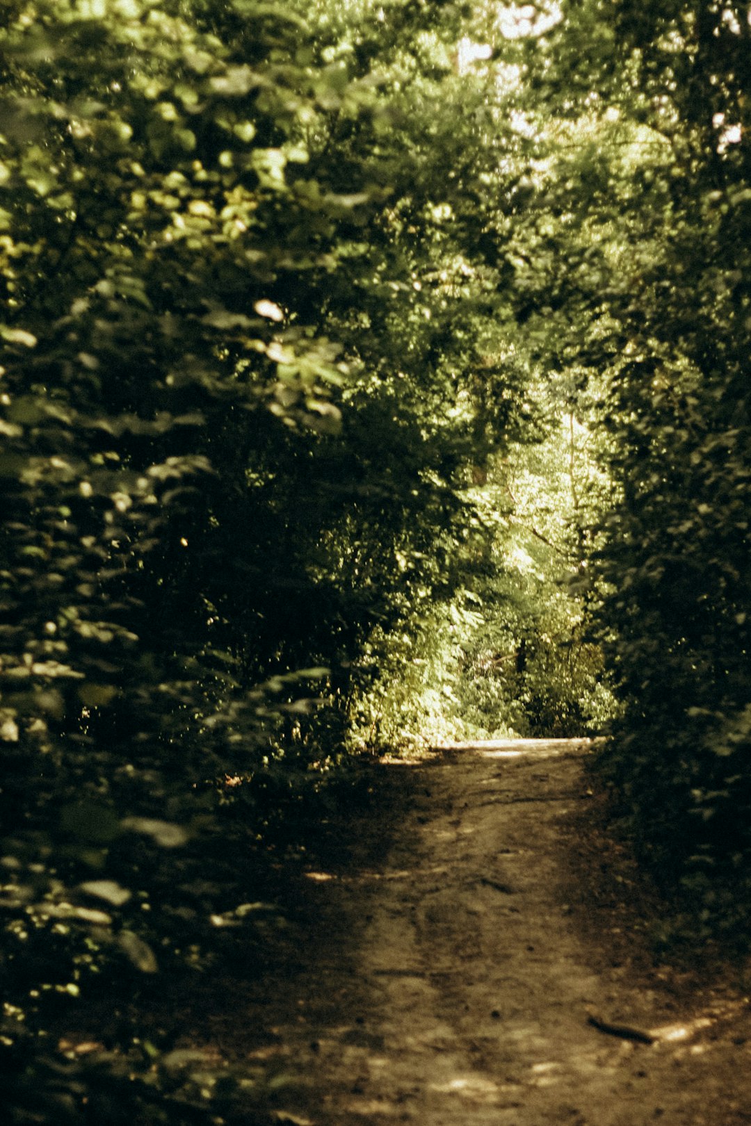 Turning Blog Posts into Pipelines: Content That Drives Conversions, Not Just Traffic - Eikeland SEO